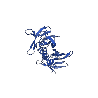 0344_6n4v_JC_v1-2
CryoEM structure of Leviviridae PP7 WT coat protein dimer capsid (PP7PP7-WT)