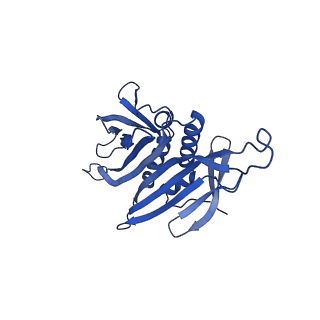 0344_6n4v_JD_v1-2
CryoEM structure of Leviviridae PP7 WT coat protein dimer capsid (PP7PP7-WT)