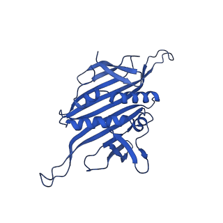 0344_6n4v_J_v1-2
CryoEM structure of Leviviridae PP7 WT coat protein dimer capsid (PP7PP7-WT)