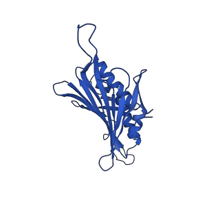 0344_6n4v_KA_v1-2
CryoEM structure of Leviviridae PP7 WT coat protein dimer capsid (PP7PP7-WT)
