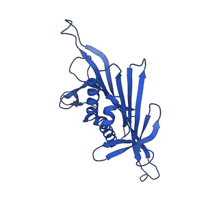 0344_6n4v_KB_v1-2
CryoEM structure of Leviviridae PP7 WT coat protein dimer capsid (PP7PP7-WT)