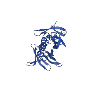 0344_6n4v_KC_v1-2
CryoEM structure of Leviviridae PP7 WT coat protein dimer capsid (PP7PP7-WT)