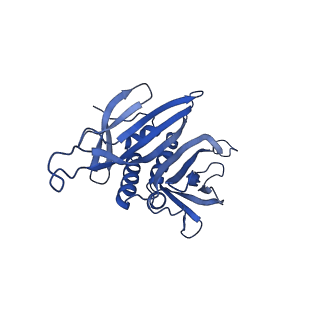 0344_6n4v_KD_v1-2
CryoEM structure of Leviviridae PP7 WT coat protein dimer capsid (PP7PP7-WT)
