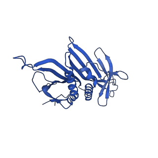 0344_6n4v_K_v1-2
CryoEM structure of Leviviridae PP7 WT coat protein dimer capsid (PP7PP7-WT)