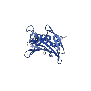 0344_6n4v_LA_v1-2
CryoEM structure of Leviviridae PP7 WT coat protein dimer capsid (PP7PP7-WT)