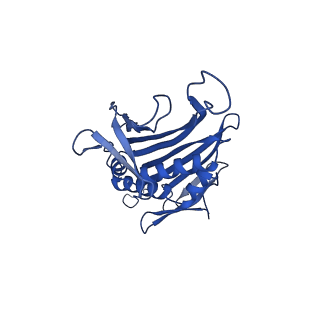 0344_6n4v_LB_v1-2
CryoEM structure of Leviviridae PP7 WT coat protein dimer capsid (PP7PP7-WT)