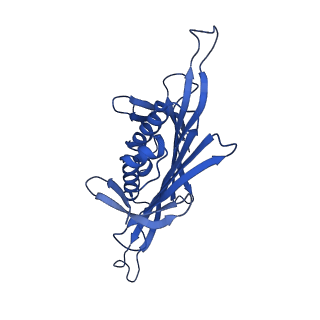 0344_6n4v_LC_v1-2
CryoEM structure of Leviviridae PP7 WT coat protein dimer capsid (PP7PP7-WT)