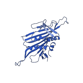 0344_6n4v_L_v1-2
CryoEM structure of Leviviridae PP7 WT coat protein dimer capsid (PP7PP7-WT)