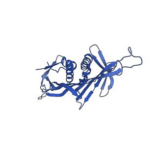 0344_6n4v_MA_v1-2
CryoEM structure of Leviviridae PP7 WT coat protein dimer capsid (PP7PP7-WT)