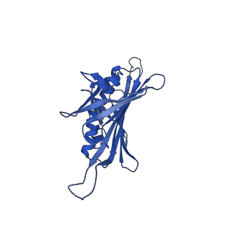 0344_6n4v_MC_v1-2
CryoEM structure of Leviviridae PP7 WT coat protein dimer capsid (PP7PP7-WT)