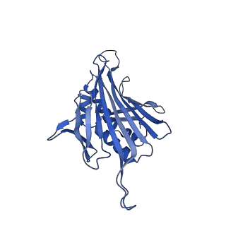 0344_6n4v_MD_v1-2
CryoEM structure of Leviviridae PP7 WT coat protein dimer capsid (PP7PP7-WT)