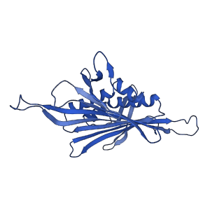 0344_6n4v_NA_v1-2
CryoEM structure of Leviviridae PP7 WT coat protein dimer capsid (PP7PP7-WT)