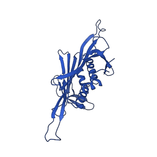 0344_6n4v_NB_v1-2
CryoEM structure of Leviviridae PP7 WT coat protein dimer capsid (PP7PP7-WT)