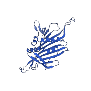 0344_6n4v_NC_v1-2
CryoEM structure of Leviviridae PP7 WT coat protein dimer capsid (PP7PP7-WT)