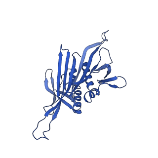 0344_6n4v_ND_v1-2
CryoEM structure of Leviviridae PP7 WT coat protein dimer capsid (PP7PP7-WT)