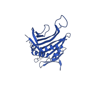 0344_6n4v_N_v1-2
CryoEM structure of Leviviridae PP7 WT coat protein dimer capsid (PP7PP7-WT)