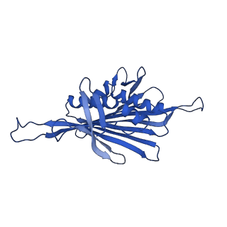 0344_6n4v_OA_v1-2
CryoEM structure of Leviviridae PP7 WT coat protein dimer capsid (PP7PP7-WT)