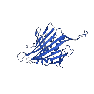 0344_6n4v_OB_v1-2
CryoEM structure of Leviviridae PP7 WT coat protein dimer capsid (PP7PP7-WT)