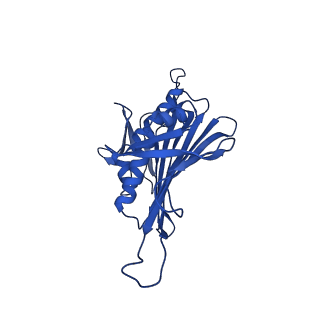 0344_6n4v_OC_v1-2
CryoEM structure of Leviviridae PP7 WT coat protein dimer capsid (PP7PP7-WT)