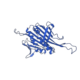 0344_6n4v_O_v1-2
CryoEM structure of Leviviridae PP7 WT coat protein dimer capsid (PP7PP7-WT)