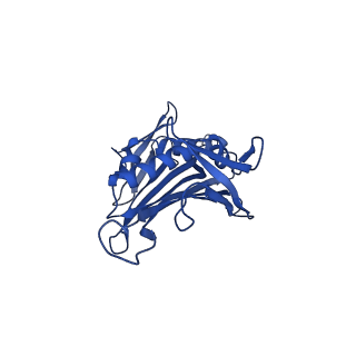 0344_6n4v_PA_v1-2
CryoEM structure of Leviviridae PP7 WT coat protein dimer capsid (PP7PP7-WT)