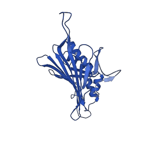 0344_6n4v_PB_v1-2
CryoEM structure of Leviviridae PP7 WT coat protein dimer capsid (PP7PP7-WT)