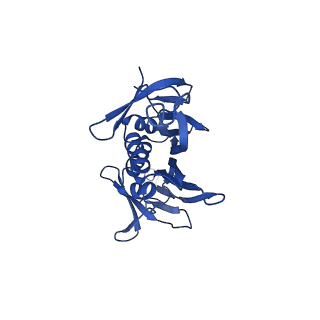 0344_6n4v_PC_v1-2
CryoEM structure of Leviviridae PP7 WT coat protein dimer capsid (PP7PP7-WT)