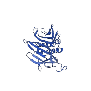 0344_6n4v_PD_v1-2
CryoEM structure of Leviviridae PP7 WT coat protein dimer capsid (PP7PP7-WT)