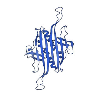 0344_6n4v_P_v1-2
CryoEM structure of Leviviridae PP7 WT coat protein dimer capsid (PP7PP7-WT)
