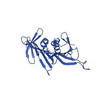 0344_6n4v_QA_v1-2
CryoEM structure of Leviviridae PP7 WT coat protein dimer capsid (PP7PP7-WT)