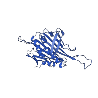 0344_6n4v_QC_v1-2
CryoEM structure of Leviviridae PP7 WT coat protein dimer capsid (PP7PP7-WT)