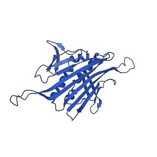 0344_6n4v_Q_v1-2
CryoEM structure of Leviviridae PP7 WT coat protein dimer capsid (PP7PP7-WT)