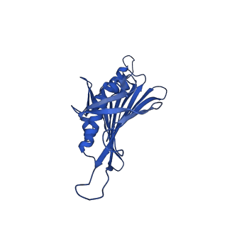 0344_6n4v_RA_v1-2
CryoEM structure of Leviviridae PP7 WT coat protein dimer capsid (PP7PP7-WT)