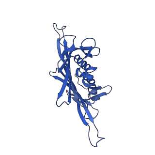 0344_6n4v_RB_v1-2
CryoEM structure of Leviviridae PP7 WT coat protein dimer capsid (PP7PP7-WT)