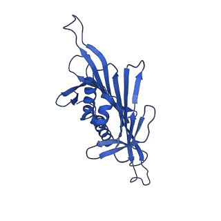 0344_6n4v_RC_v1-2
CryoEM structure of Leviviridae PP7 WT coat protein dimer capsid (PP7PP7-WT)
