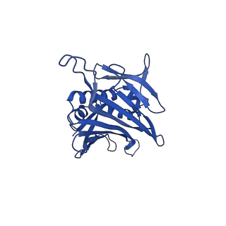0344_6n4v_R_v1-2
CryoEM structure of Leviviridae PP7 WT coat protein dimer capsid (PP7PP7-WT)