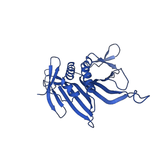 0344_6n4v_SA_v1-2
CryoEM structure of Leviviridae PP7 WT coat protein dimer capsid (PP7PP7-WT)