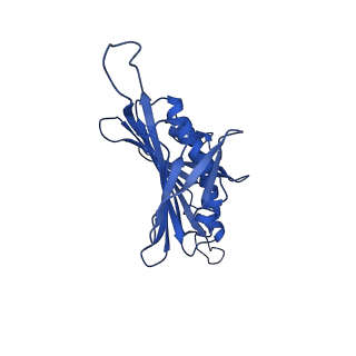 0344_6n4v_SB_v1-2
CryoEM structure of Leviviridae PP7 WT coat protein dimer capsid (PP7PP7-WT)