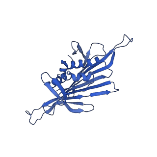 0344_6n4v_SC_v1-2
CryoEM structure of Leviviridae PP7 WT coat protein dimer capsid (PP7PP7-WT)