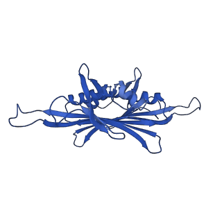 0344_6n4v_TA_v1-2
CryoEM structure of Leviviridae PP7 WT coat protein dimer capsid (PP7PP7-WT)