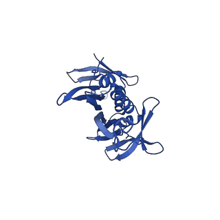 0344_6n4v_TB_v1-2
CryoEM structure of Leviviridae PP7 WT coat protein dimer capsid (PP7PP7-WT)