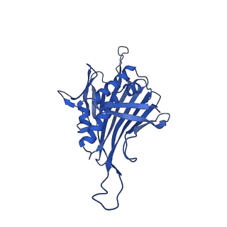 0344_6n4v_TC_v1-2
CryoEM structure of Leviviridae PP7 WT coat protein dimer capsid (PP7PP7-WT)