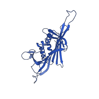 0344_6n4v_UA_v1-2
CryoEM structure of Leviviridae PP7 WT coat protein dimer capsid (PP7PP7-WT)
