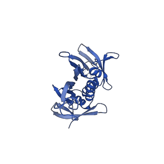 0344_6n4v_UB_v1-2
CryoEM structure of Leviviridae PP7 WT coat protein dimer capsid (PP7PP7-WT)