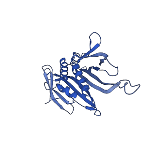 0344_6n4v_UC_v1-2
CryoEM structure of Leviviridae PP7 WT coat protein dimer capsid (PP7PP7-WT)