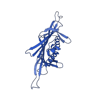0344_6n4v_VB_v1-2
CryoEM structure of Leviviridae PP7 WT coat protein dimer capsid (PP7PP7-WT)