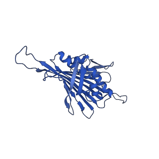 0344_6n4v_VC_v1-2
CryoEM structure of Leviviridae PP7 WT coat protein dimer capsid (PP7PP7-WT)