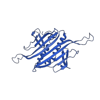 0344_6n4v_V_v1-2
CryoEM structure of Leviviridae PP7 WT coat protein dimer capsid (PP7PP7-WT)