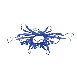 0344_6n4v_WA_v1-2
CryoEM structure of Leviviridae PP7 WT coat protein dimer capsid (PP7PP7-WT)