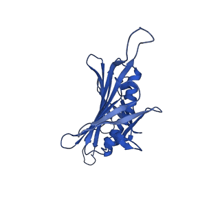 0344_6n4v_WB_v1-2
CryoEM structure of Leviviridae PP7 WT coat protein dimer capsid (PP7PP7-WT)